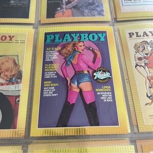 90s Vintage Playboy Chromium Cover Card Shari Shattuck Collectors 1995 #61